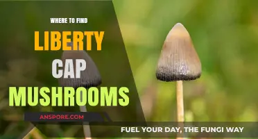 Discovering Liberty Cap Mushrooms: Top Locations and Foraging Tips