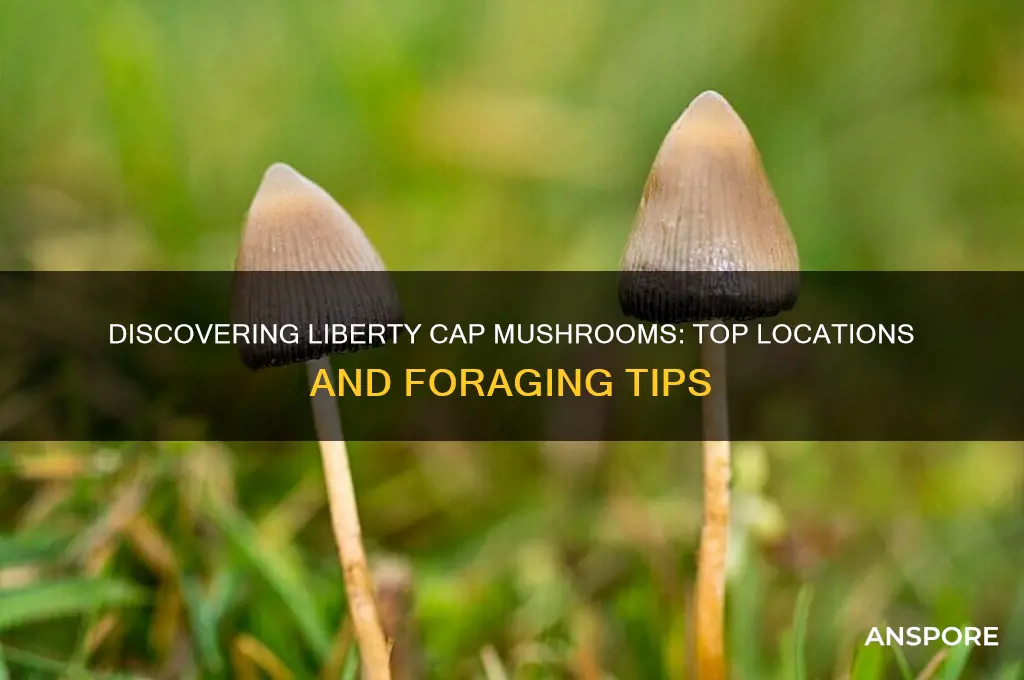 where to find liberty cap mushrooms