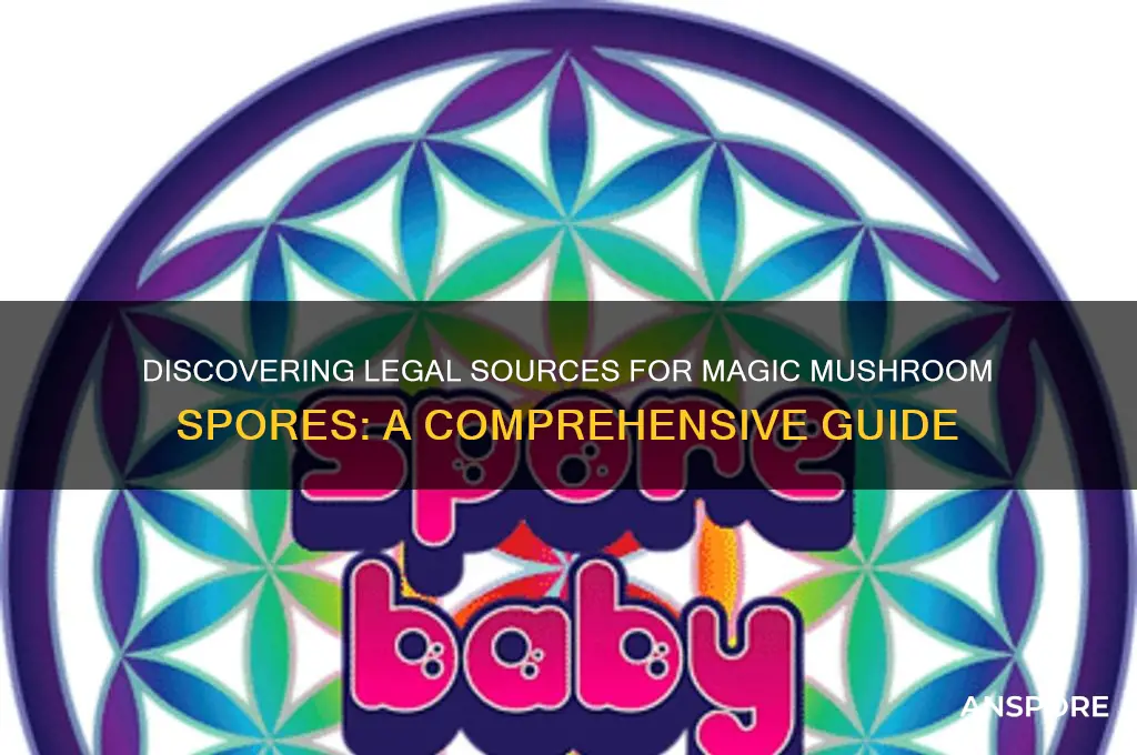 where to find magic mushroom spores