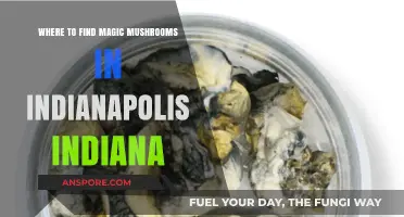 Exploring Indianapolis: Top Spots for Finding Magic Mushrooms Safely
