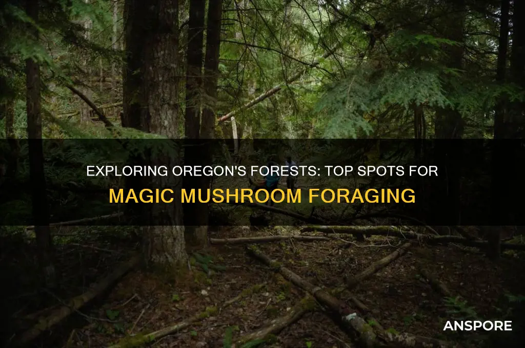 where to find magic mushrooms in oregon