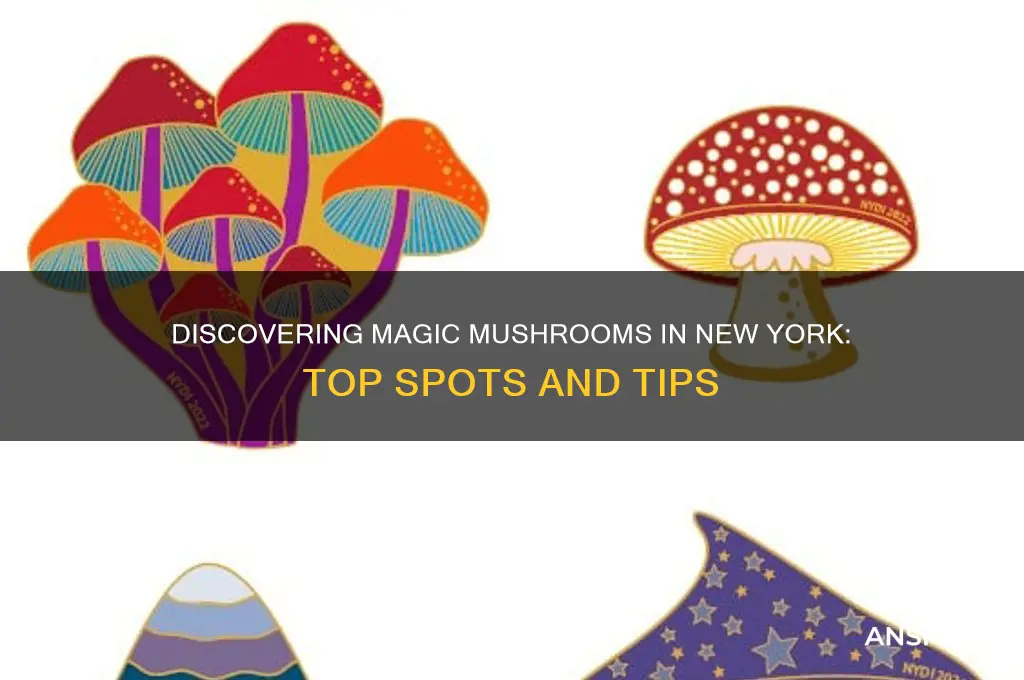 where to find magic mushrooms new york