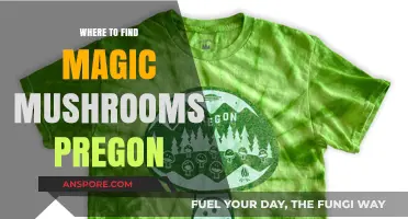 Discovering Magic Mushrooms in Pregon: Top Spots and Tips