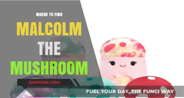 Discover Malcolm the Mushroom's Secret Hiding Spots and Locations