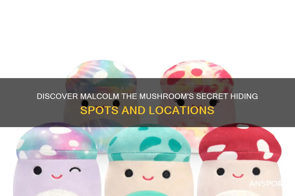 where to find malcolm the mushroom