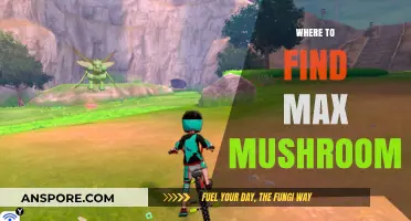 Discover the Best Spots to Find Max Mushrooms Easily