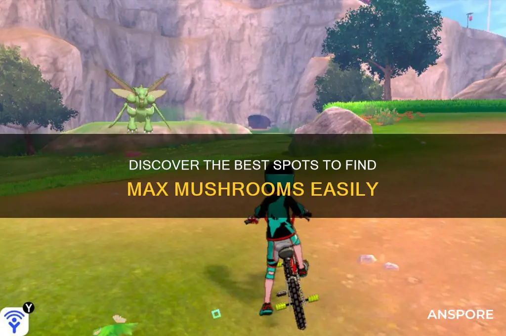 where to find max mushroom