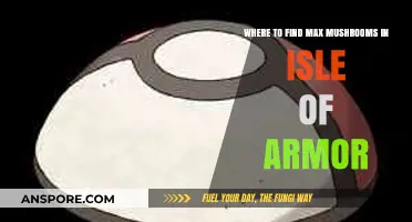 Best Spots to Hunt Max Mushrooms in Isle of Armor