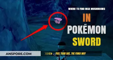 Best Spots to Find Max Mushrooms in Pokémon Sword