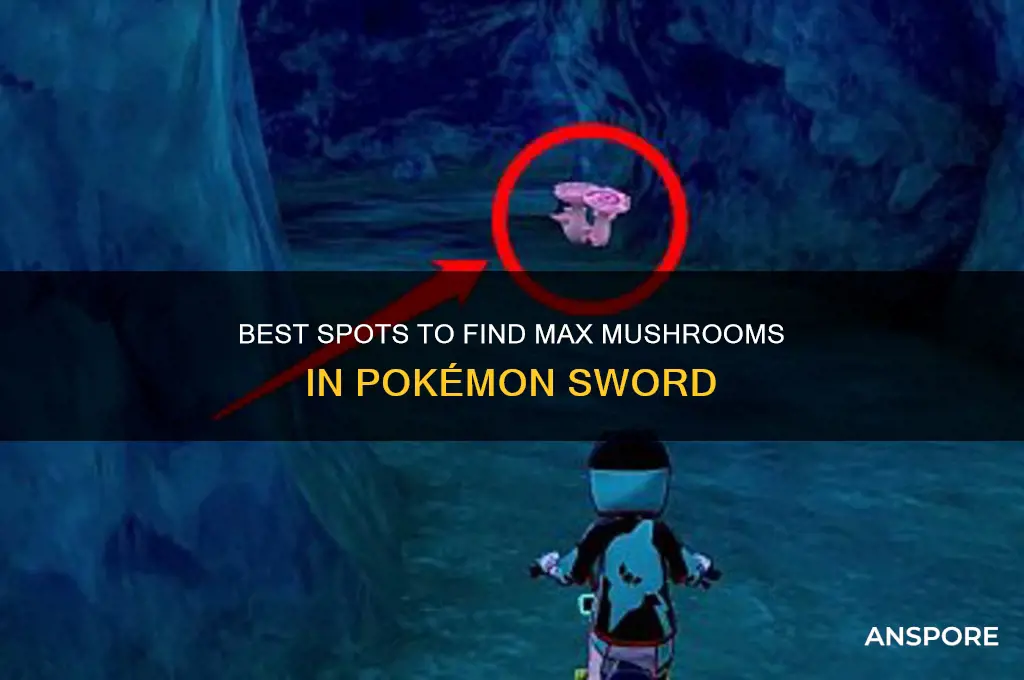 where to find max mushrooms in pokémon sword