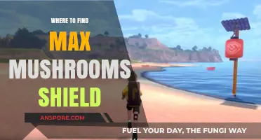 Discover the Best Locations for Max Mushroom Shield in the Game
