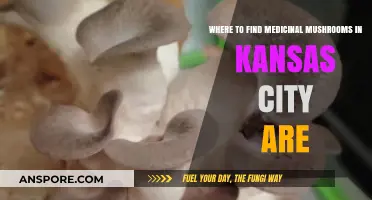 Discover Medicinal Mushrooms in Kansas City: Top Local Sources