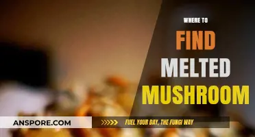 Discovering Melted Mushrooms: Top Spots for This Unique Delicacy