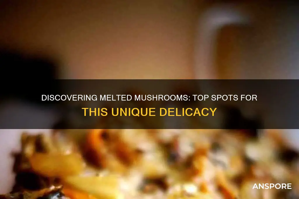 where to find melted mushrooms