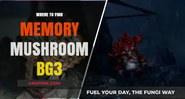 Discover Memory Mushroom Locations in Baldur's Gate 3: A Guide