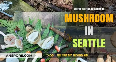Discover Seattle's Best Sources for Microdose Mushrooms: A Guide