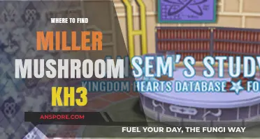 Discovering Miller Mushroom Locations in Kingdom Hearts 3: A Guide