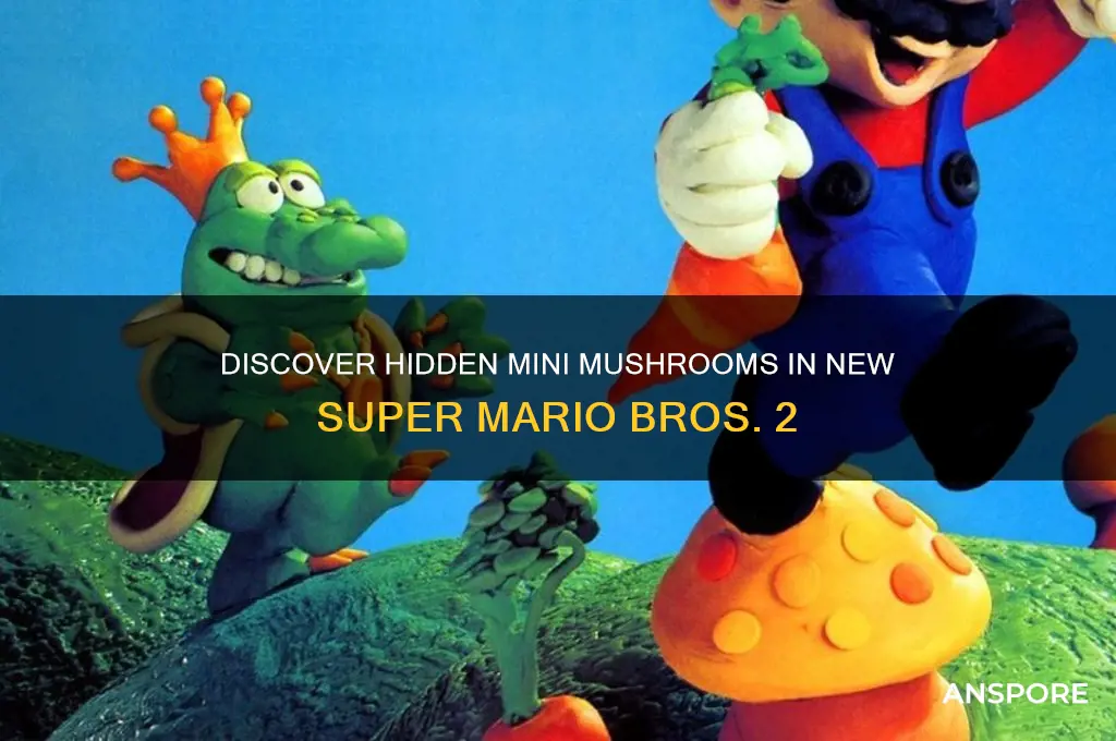 where to find mini mushrooms in nsmb2