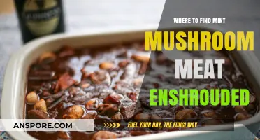 Discover Mint Mushroom Meat Enshrouded: Top Locations to Explore