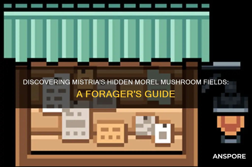 where to find morel mushroom fields of mistria