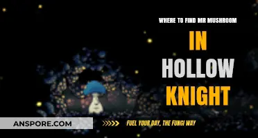 Discovering Mr. Mushroom's Secret Location in Hollow Knight: A Guide