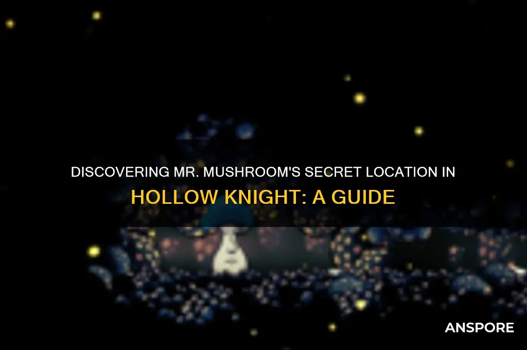 where to find mr mushroom in hollow knight