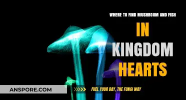 Mushroom & Fish Locations in Kingdom Hearts: A Comprehensive Guide