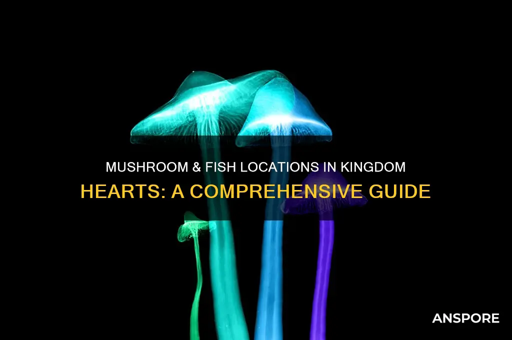 where to find mushroom and fish in kingdom hearts