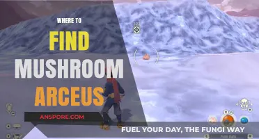 Discovering Mushroom Arceus: Top Locations and Hunting Tips Revealed