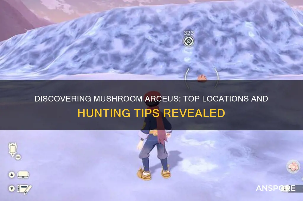 where to find mushroom arceus