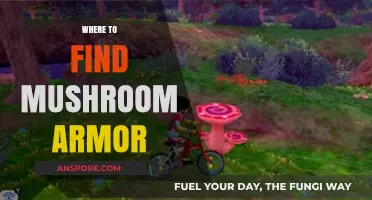 Discover Mushroom Armor: Top Locations for Rare Gear in Games