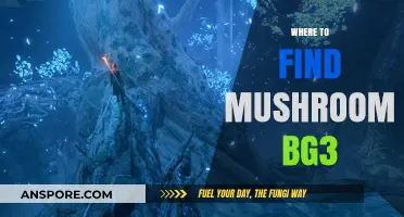 Discover Hidden Mushroom Locations in Baldur's Gate 3: A Guide