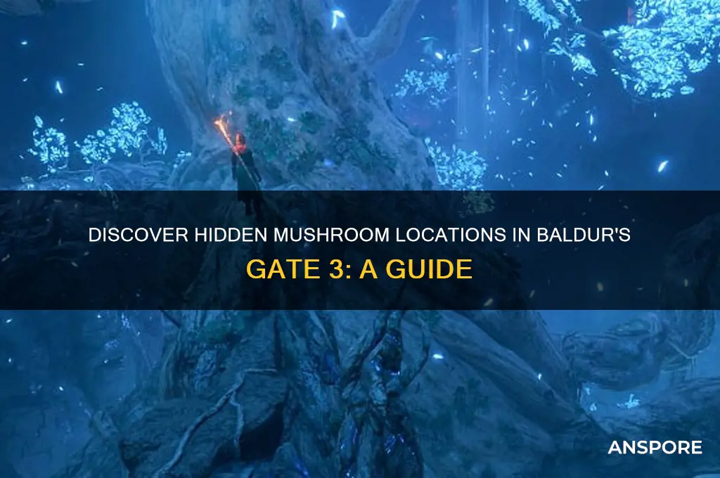 where to find mushroom bg3