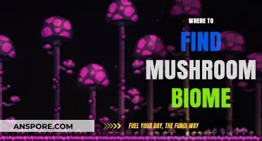 Discovering Mushroom Biomes: Top Locations for Fungal Adventures