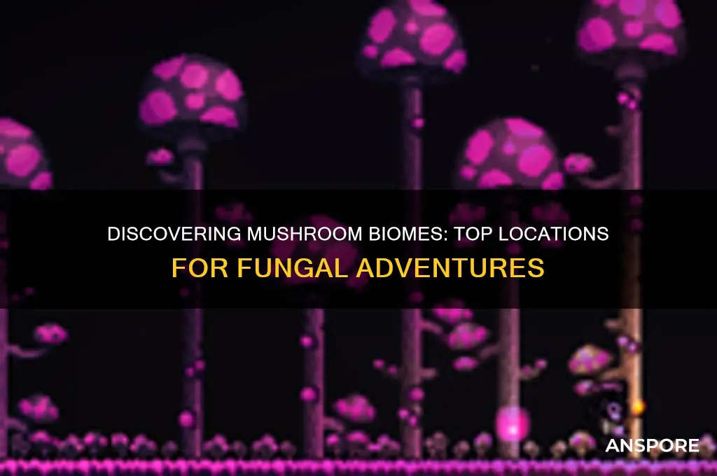 where to find mushroom biome