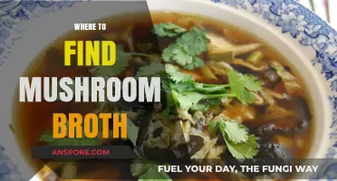 Discover the Best Sources for Rich and Flavorful Mushroom Broth
