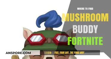 Discover Mushroom Buddy Fortnite Locations: Ultimate Guide to Finding Them