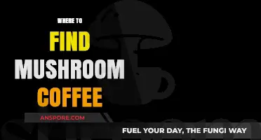 Discover the Best Spots to Buy Mushroom Coffee Today