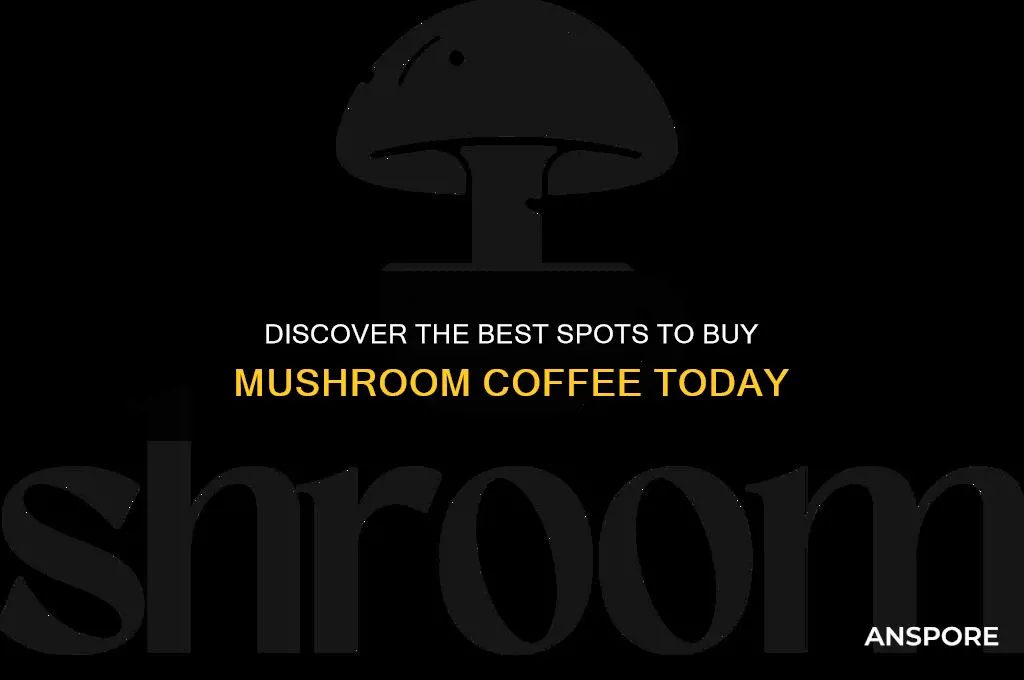 where to find mushroom coffee