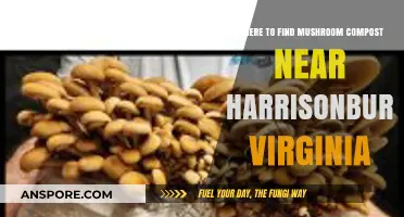 Discover Mushroom Compost Suppliers Near Harrisonburg, Virginia: A Local Guide