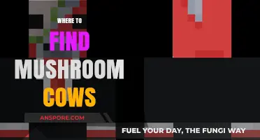Discovering Mushroom Cows: Top Locations for Mooshroom Spawning
