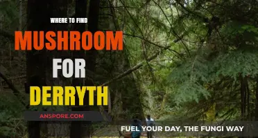 Discovering Mushroom Sources for Derryth: Top Locations and Tips