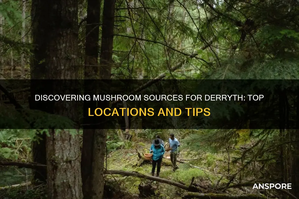 where to find mushroom for derryth