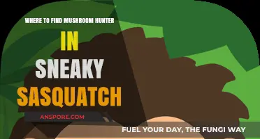 Sneaky Sasquatch Mushroom Hunter Locations: A Comprehensive Guide