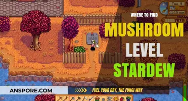 Discover Stardew Valley's Mushroom Level: Best Locations Guide