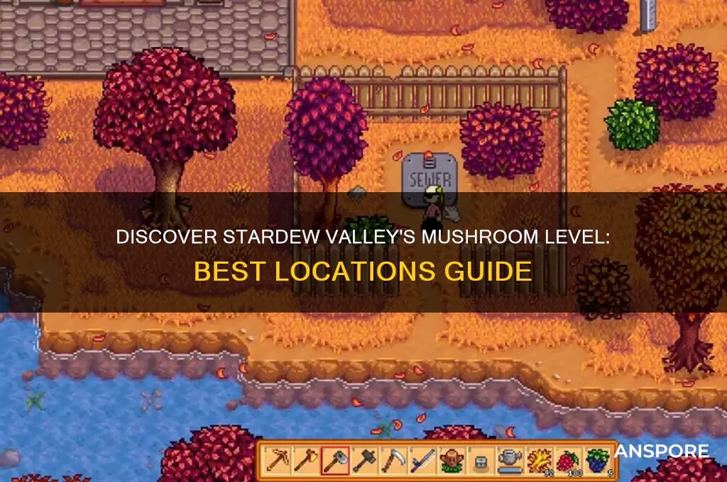 where to find mushroom level stardew