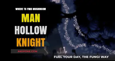 Discover Mushroom Man's Hidden Location in Hollow Knight: A Guide