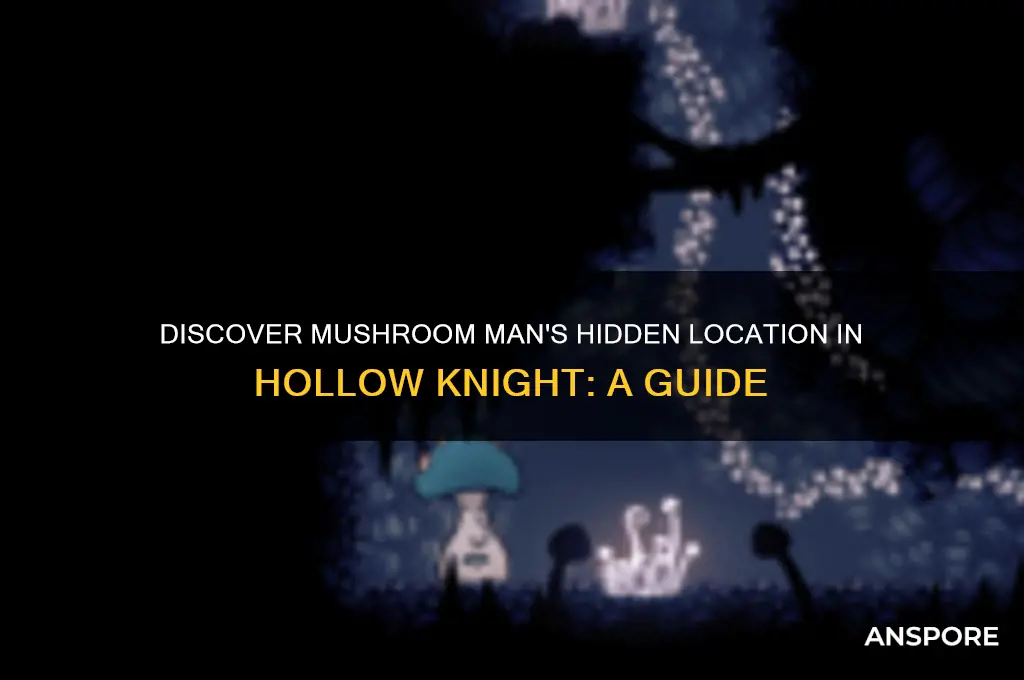 where to find mushroom man hollow knight