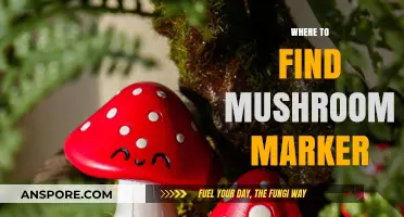 Discover Hidden Mushroom Markers: Top Locations for Foragers to Explore