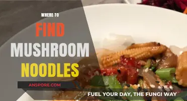 Discover the Best Spots for Delicious Mushroom Noodles Near You